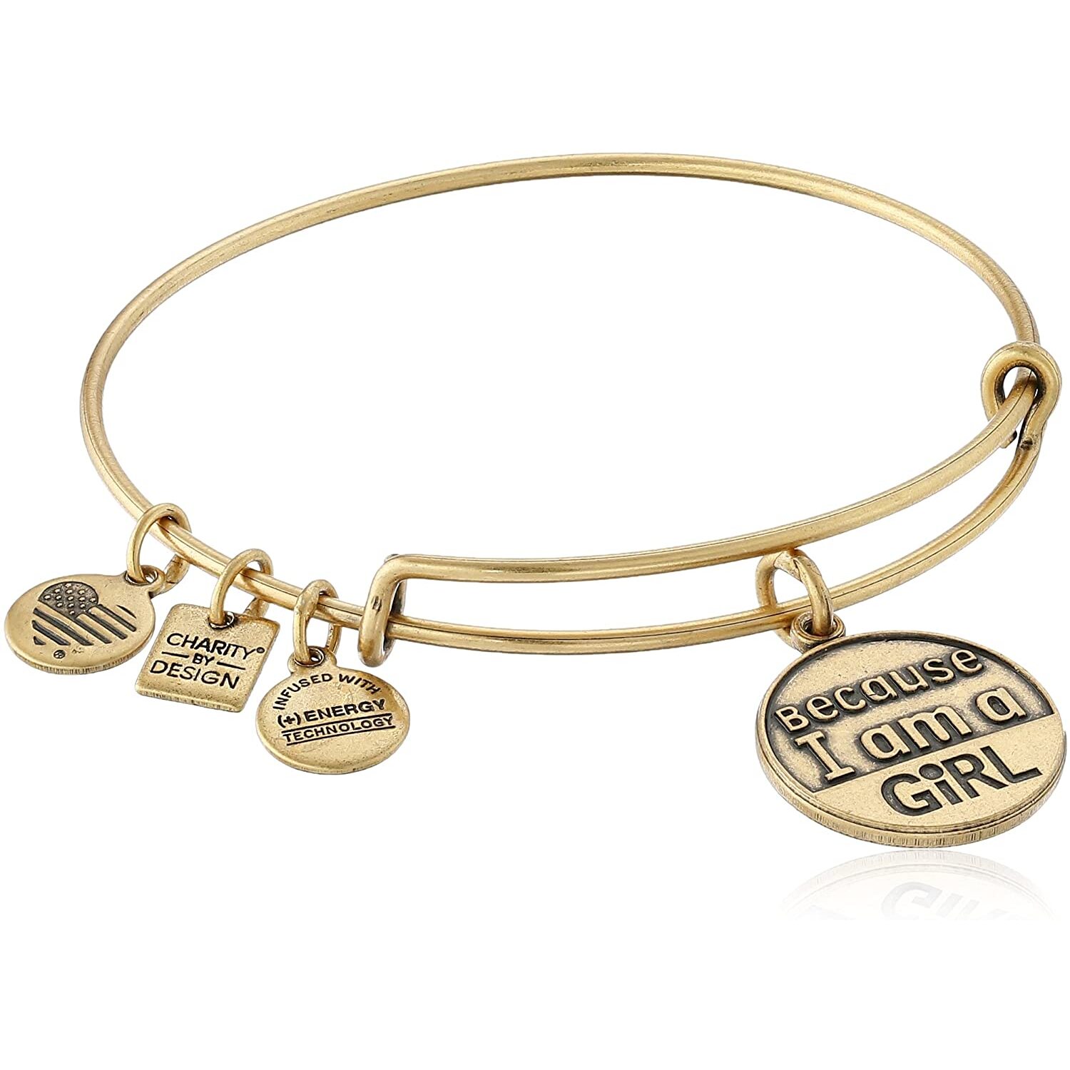 Pulsera Alex And Ani Mujer CBD12BGRG