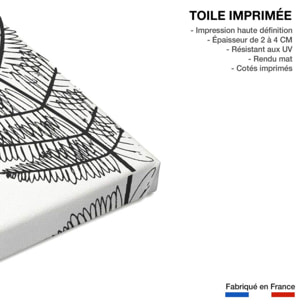 Tableau landes fougères Toile imprimée