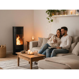 Estufa de etanol en acero negro con puerta de cristal templado BESTFIRE B FLAME PURLINE
