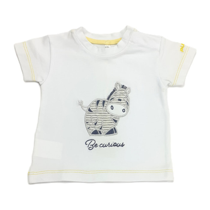 T-SHIRT M/C JERSEY ZEBRA CURIOSA