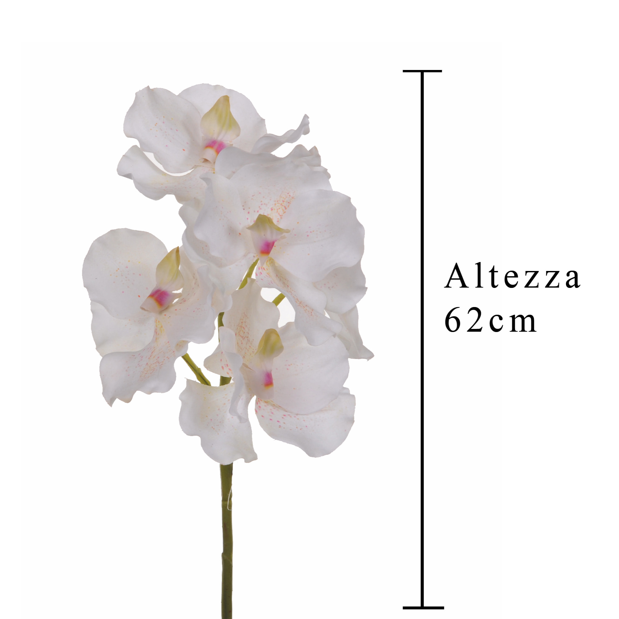 Orchidea Vanda. Altezza 62 Cm - Pezzi 4 - 18X62X11cm - Colore: Altro - Bianchi Dino - Fiori Artificiali