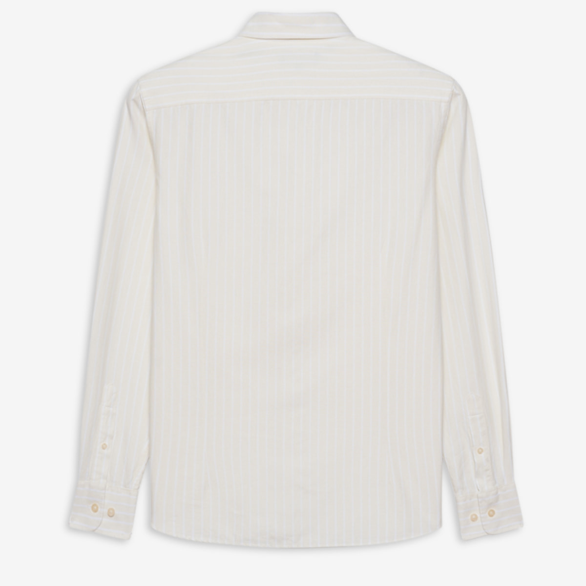 CAMISA PALOOZA