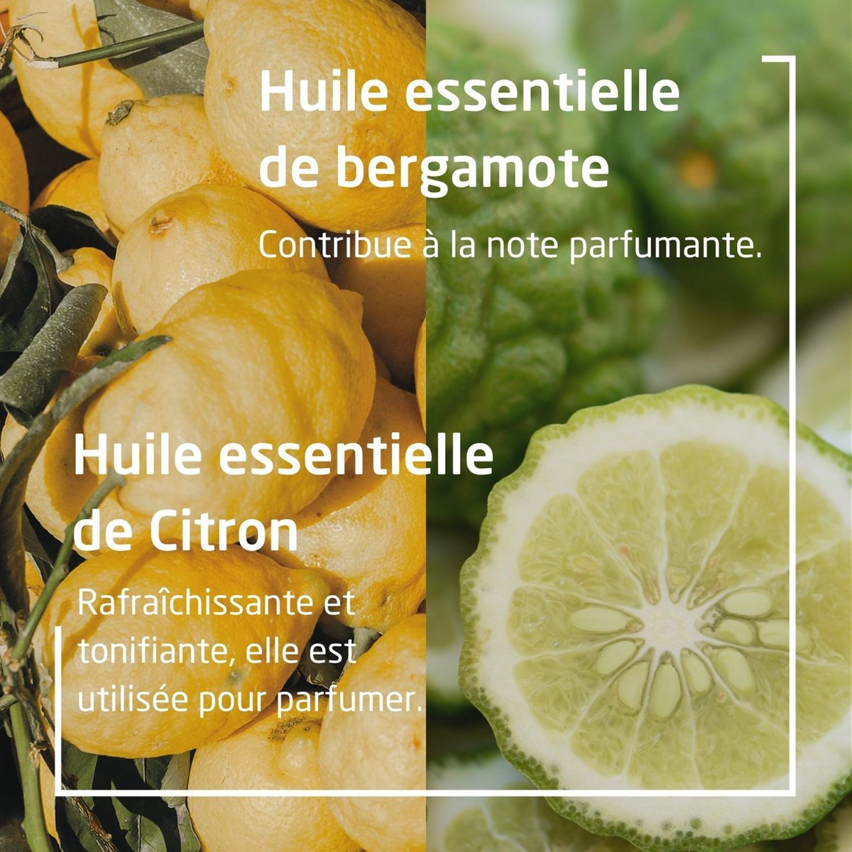 WELEDA - Deodorant stick Citrus Bergamot