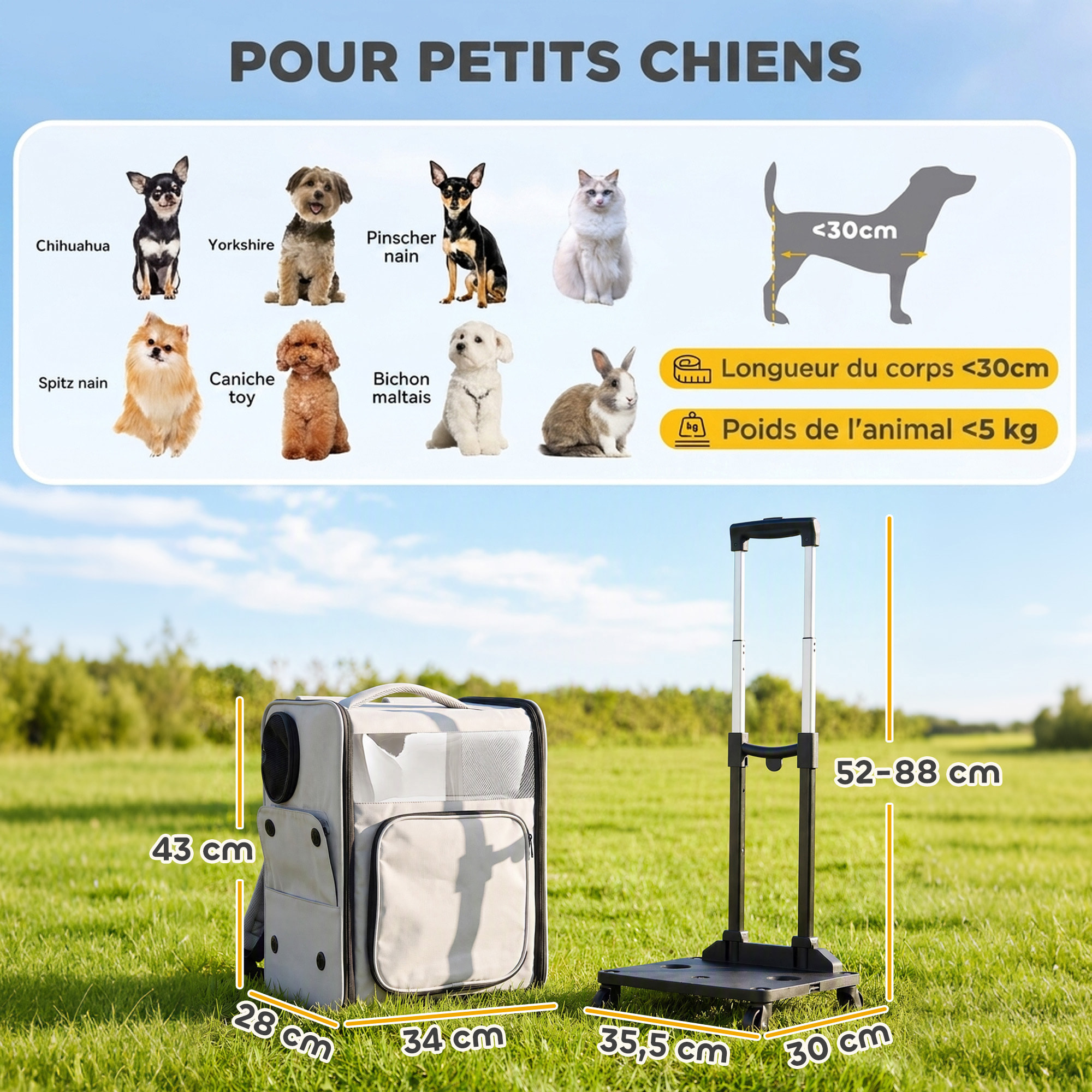 Sac de transport trolley télescopique amovible chien chat gris clair noir