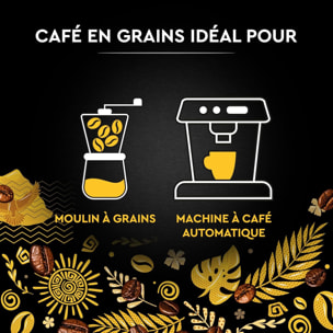Café Grains Pérou Bio 500g