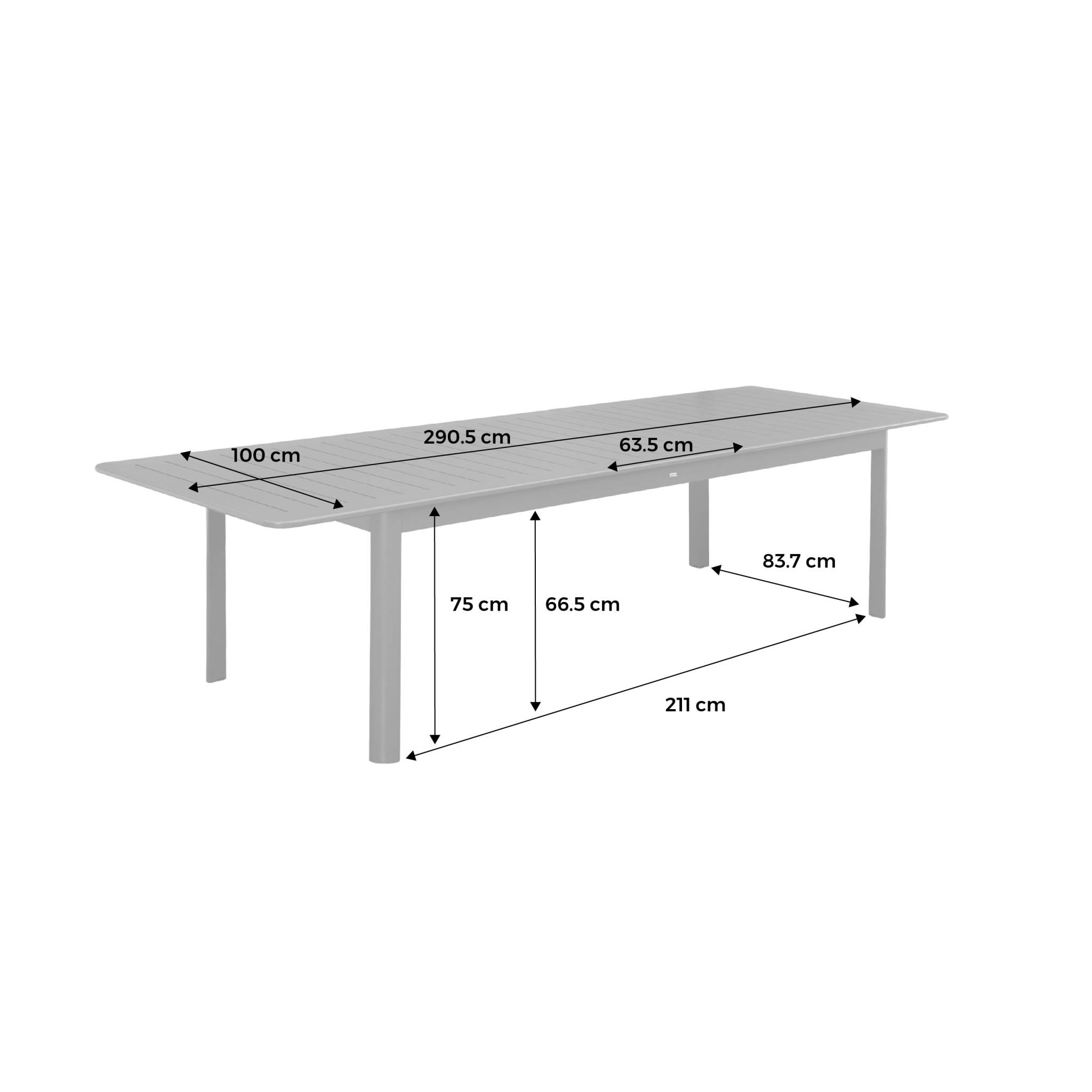 Table de jardin anthracite SEATTLE extensible aluminium. 10 places. 227 / 290 x 100 x 75 cm