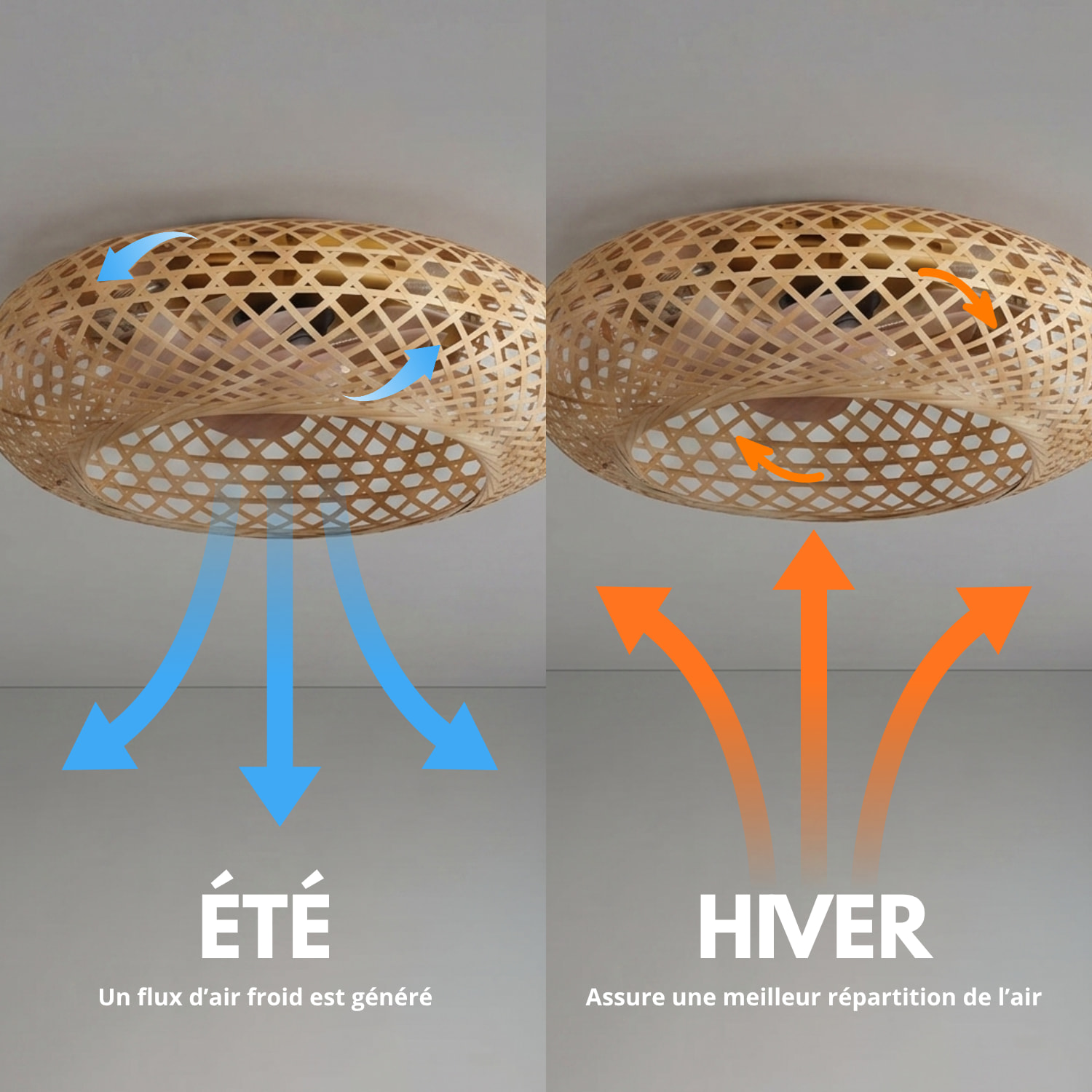Ventilateur Plafond E27 SOLVIA D48CM
