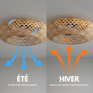 Ventilateur Plafond E27 SOLVIA D48CM