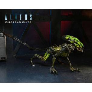 Aliens: Fireteam Elite Action Figura 23 Cm Series 2 Case (2) Neca