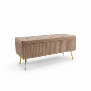 Panca Contenitore in Effetto Velluto a Coste con Ampio Vano Contenitore, Seduta Imbottita e Gambe in Acciaio, Design Moderno per Camera da Letto, Ingresso e Soggiorno