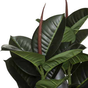 Planta artificial de Ficus robusta Altura 120cm- Atmosphera