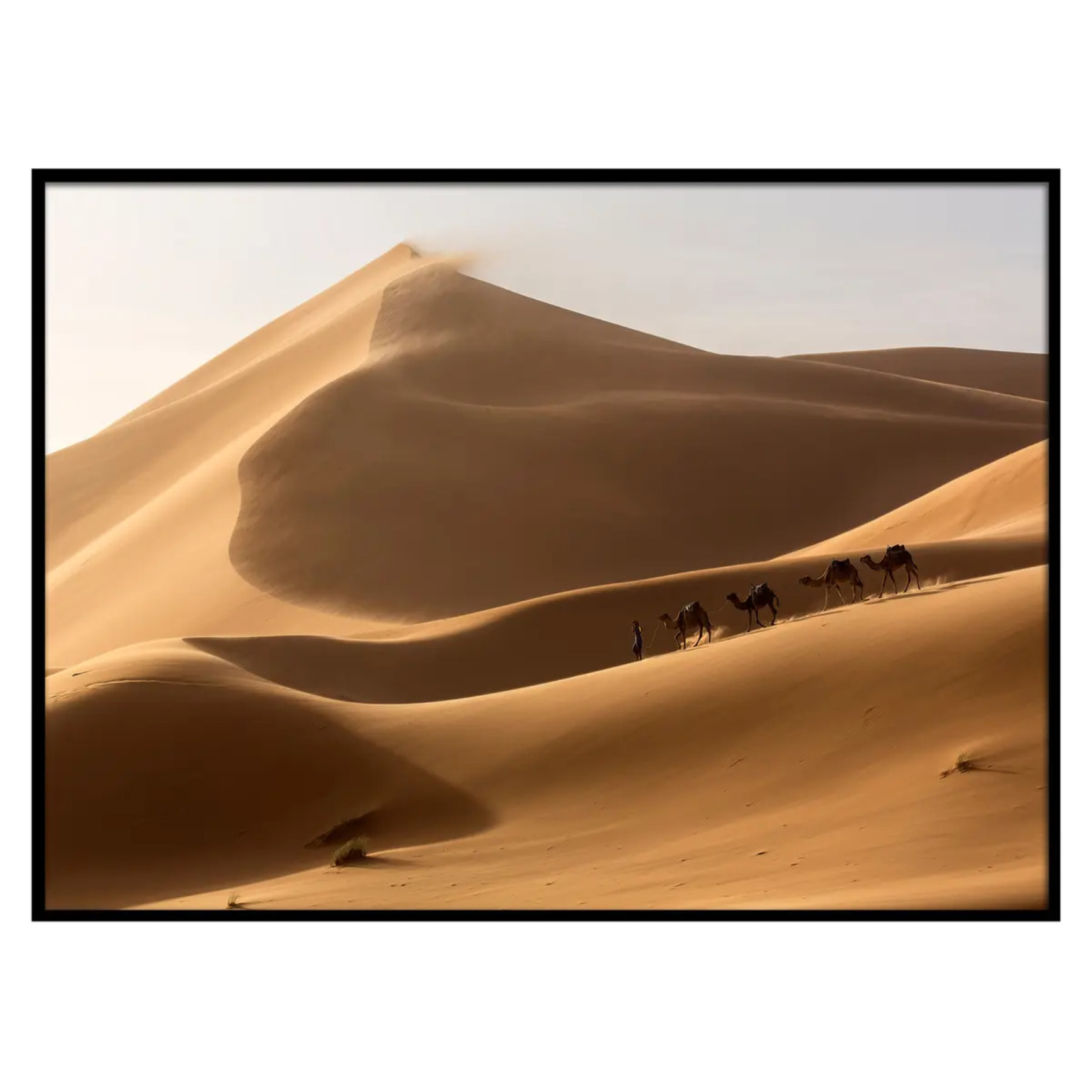 Toile imprimée "Bianca" 50x70cm