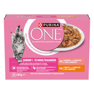 PURINA ONE Chat Kitten Effilés Sauce Saumon Poulet 8x85g - Lot de 10