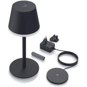 Lampe connectée PHILIPS HUE GO Noir White&Color Ambiance