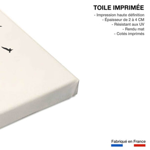 Tableau Envolee Up and Away Toile imprimée