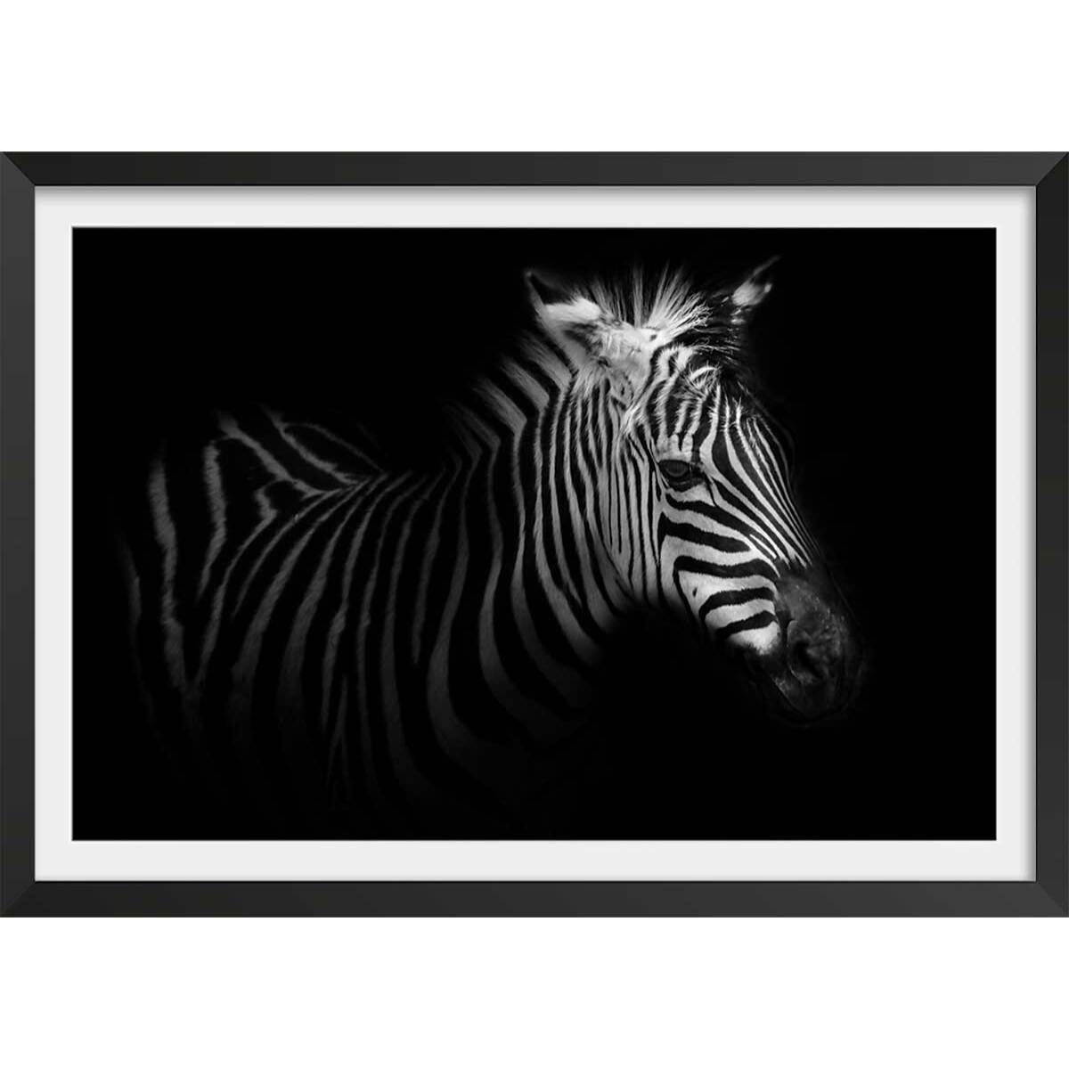 Affiche zebre dans la lumière Affiche + cadre en bois - Noir