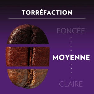 Intenso x10.  Capsules compatibles Nespresso en aluminium