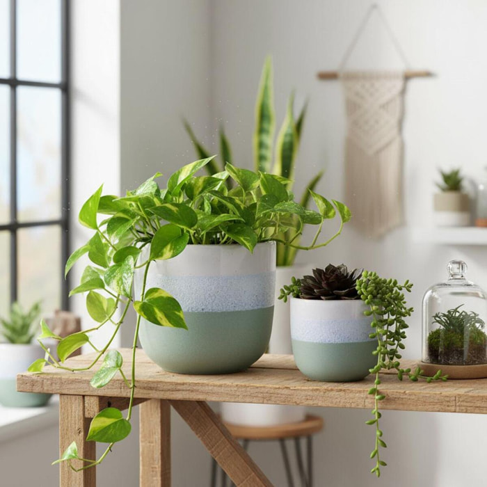 Set 2 cachepot - 22xH20x22cm - Pezzi 1 - Bianchi Dino SpA