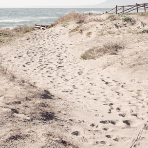 Tableau mer chemin de sable  Tableau alu Dibond