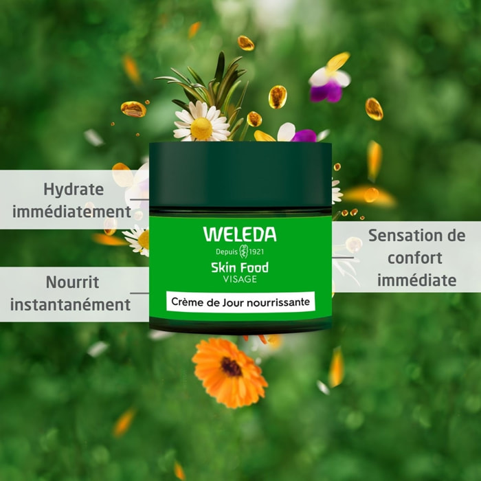 WELEDA - Skin Food Crème de Jour nourrissante + Crème de Nuit nourrissante + Gel-en-huile nettoyant - Pour les peaux sèches - Hydrate immédiatement et nourrit instantanément  - Natrue* - Vegan*** - 2x40 ml + 75ml