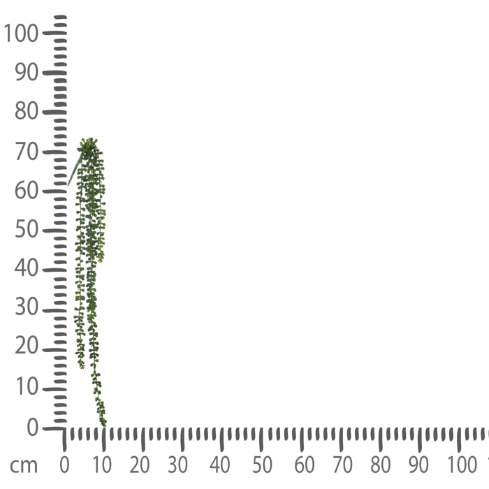 Sedum Pendente Con 5 Diramazioni. Altezza 74 Cm - Pezzi 4 - 11X74X6cm - Colore: Verde - Bianchi Dino - Piante Artificiali