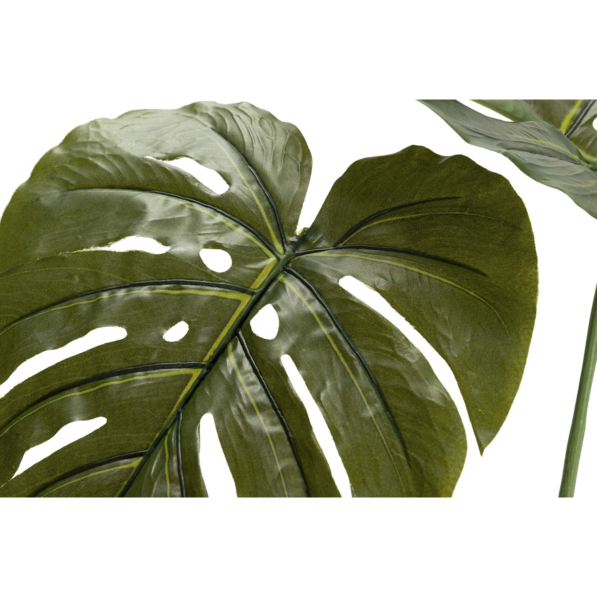 Planta Monstera 110x70x155 Cm