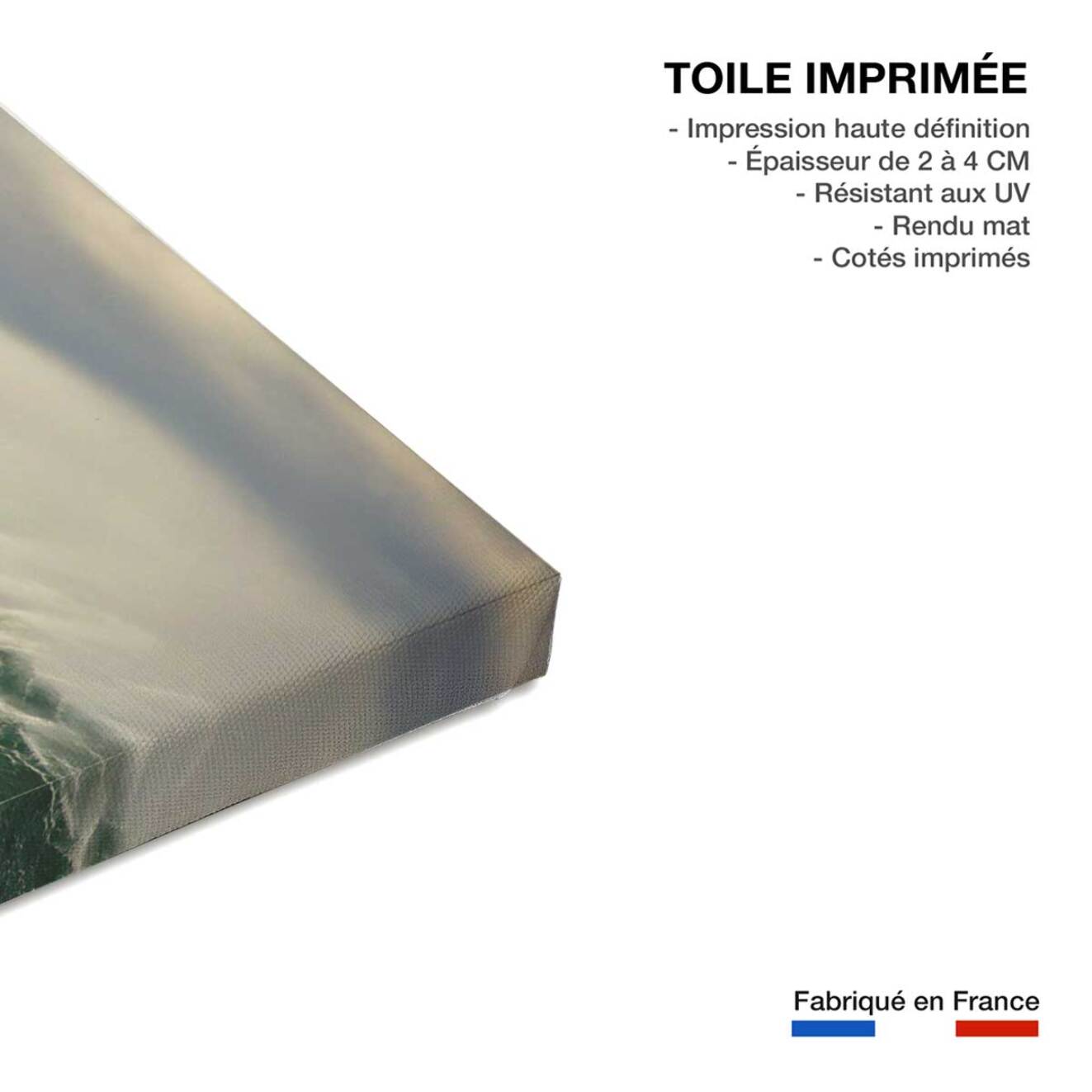 Tableau Tableau photo belharra vague Toile imprimée