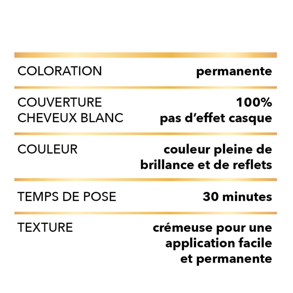Lot de 6 - Garnier Belle Color Coloration 22 Chatain Naturel