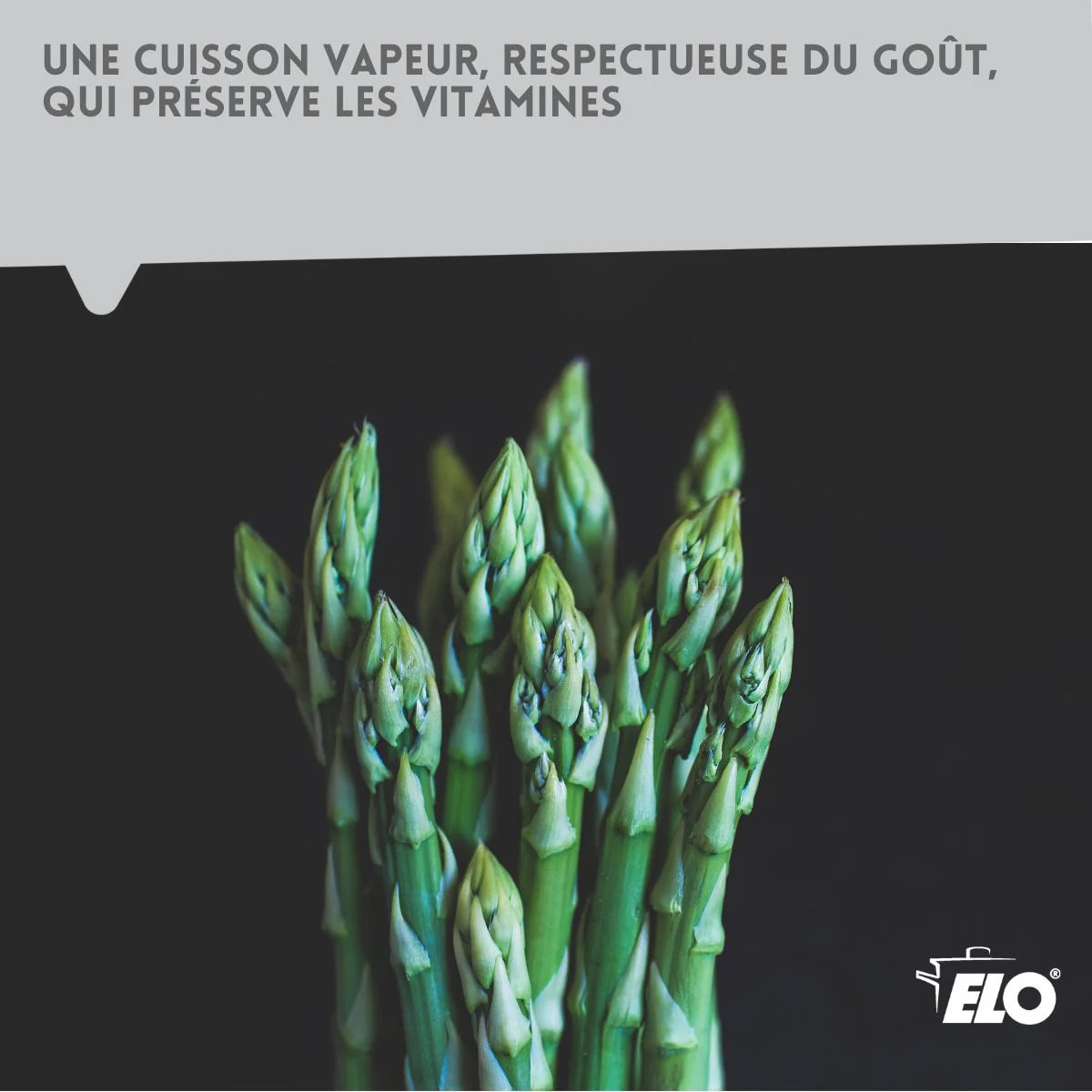 Cuiseur à asperges inox avec couvercle 4 litres Elo Brillant