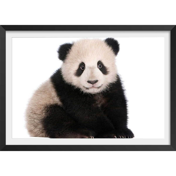 Affiche enfant bébé panda  Affiche + cadre en bois - Noir
