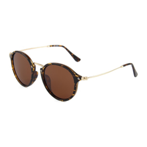GAFAS DE SOL SEXTON | 2447-7 - BROWN