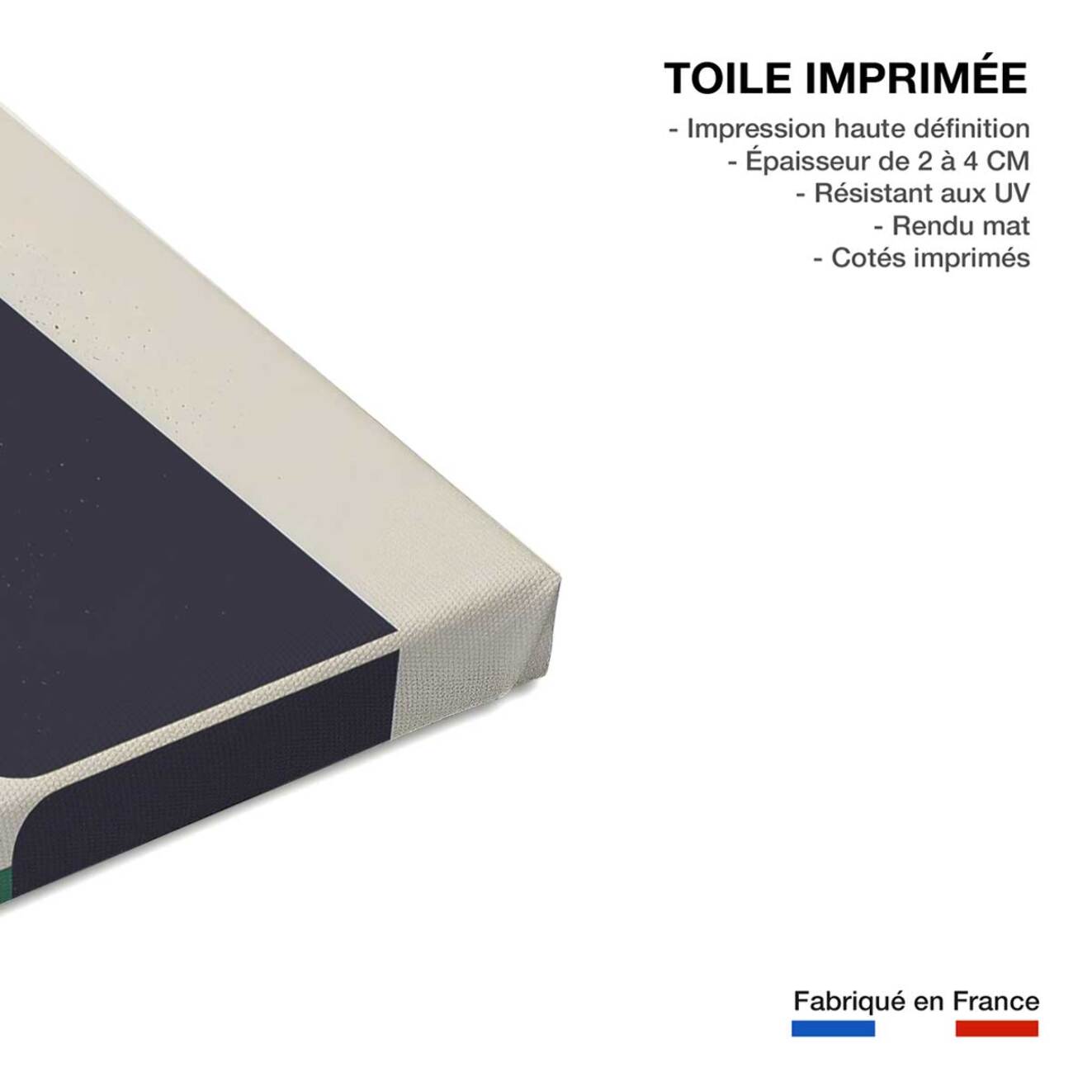 Tableau bouteille et plante  Toile imprimée