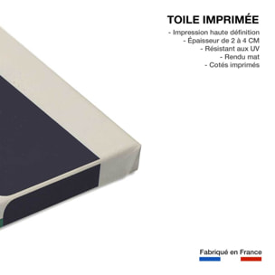 Tableau bouteille et plante  Toile imprimée