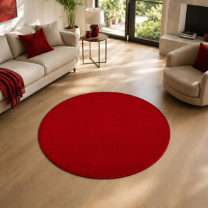Tapis salon et chambre tissé motif uni PAJU