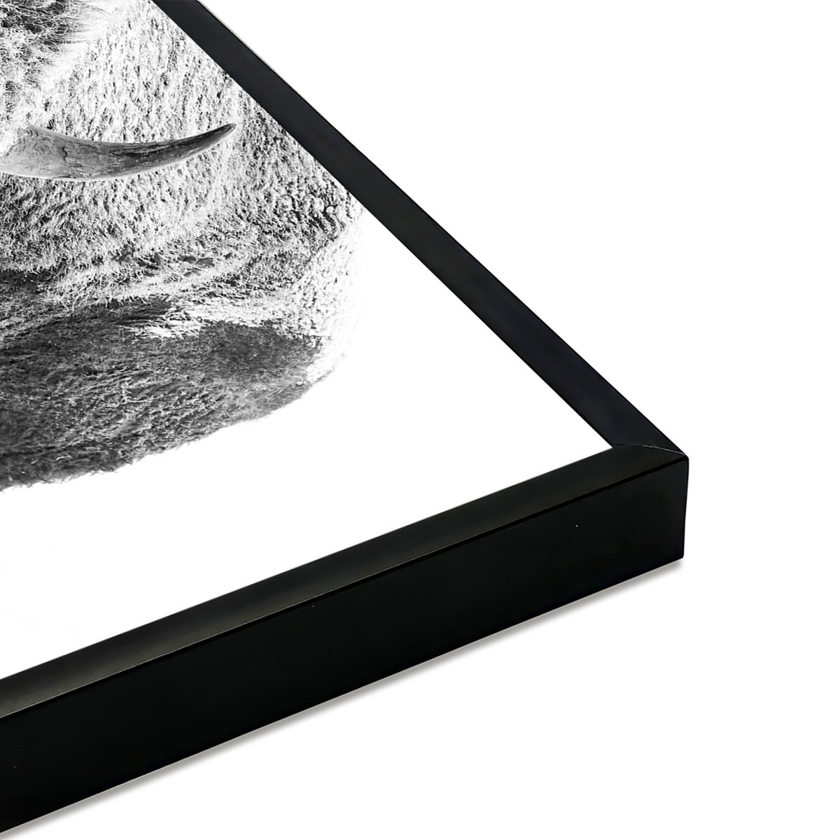 Affiche encadrée bison enneigé en noir et blanc Affiche + cadre en métal - Noir