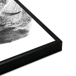 Affiche encadrée bison enneigé en noir et blanc Affiche + cadre en métal - Noir
