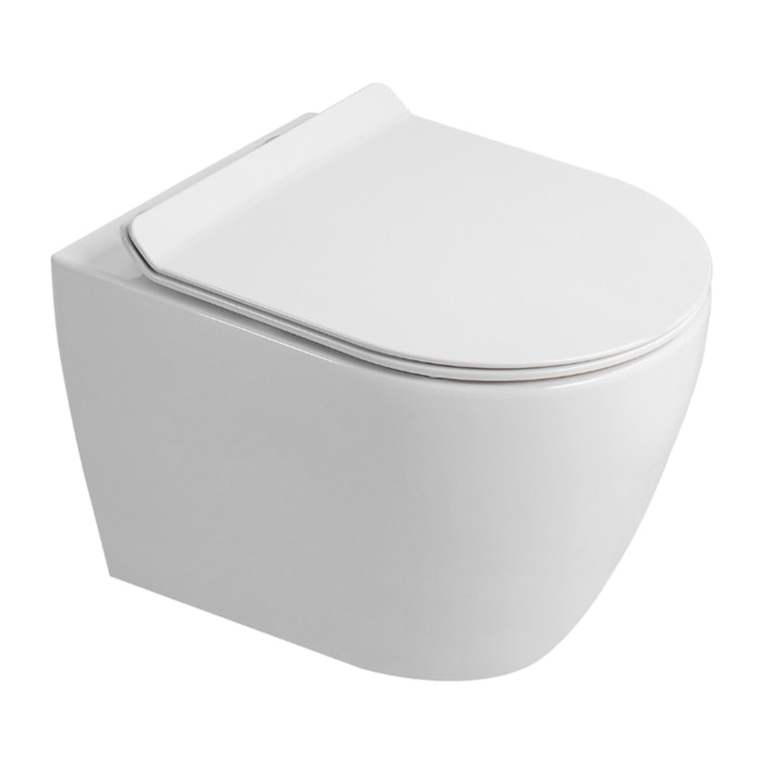 PixL WC suspendu en céramique Tornado Quiet Flush, fixations invisibles + abattant Soft-Close, Blanc brillant (CEPX010RTORP)