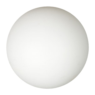 Jeu De Ping Pong Fantaisie Licorne