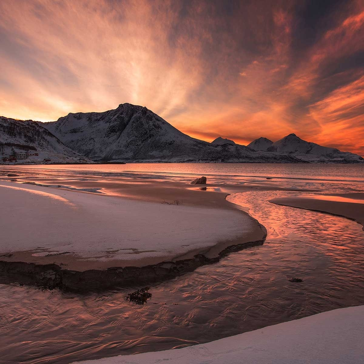 Tableau paysage Golden sunset Tableau alu Dibond