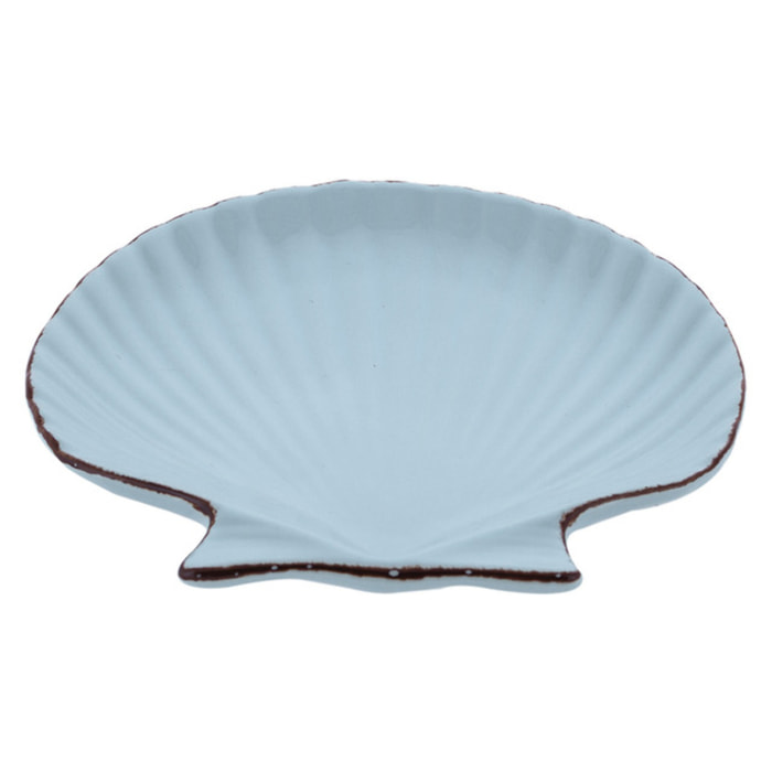 Set 2 conchiglie Indaco