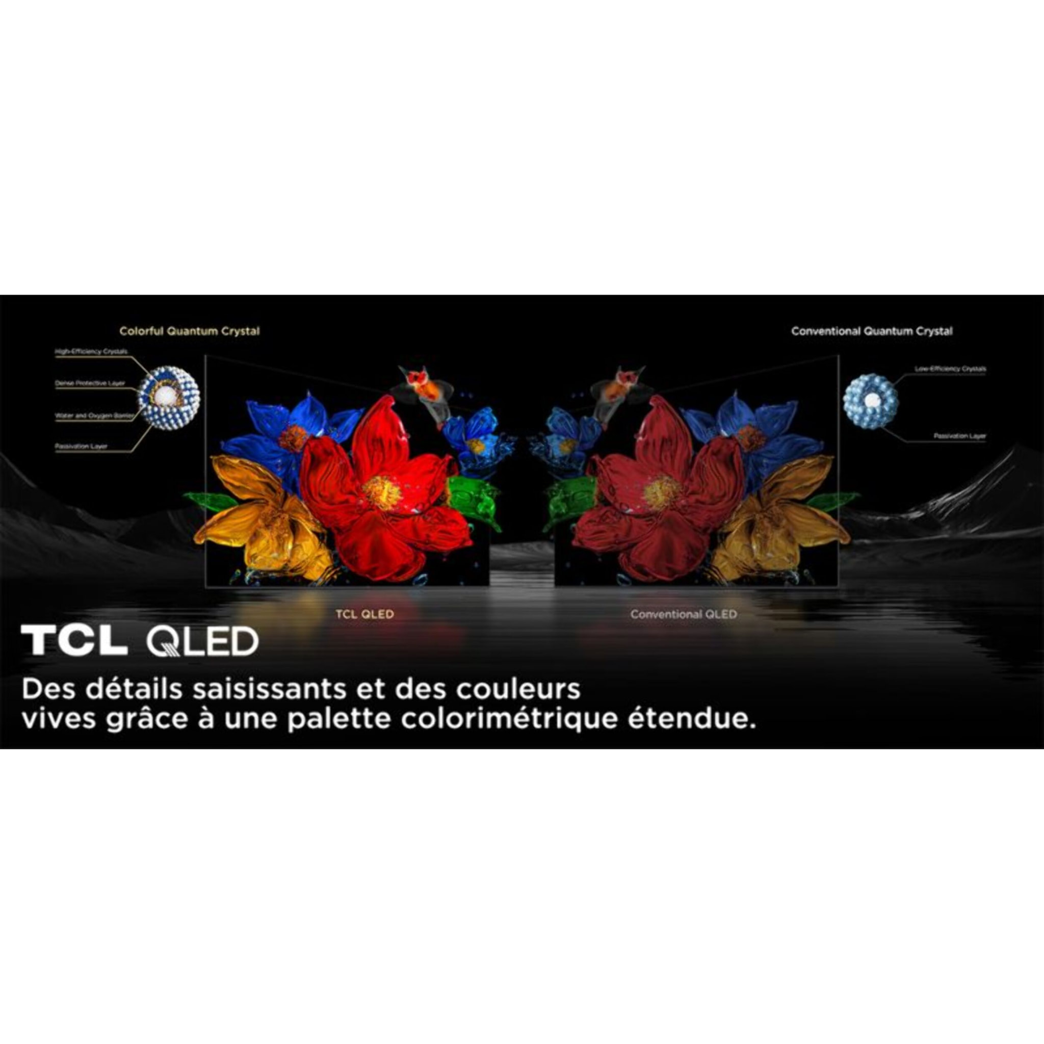 TV Mini Led TCL 50C79K 2025-50 pouces (126cm)