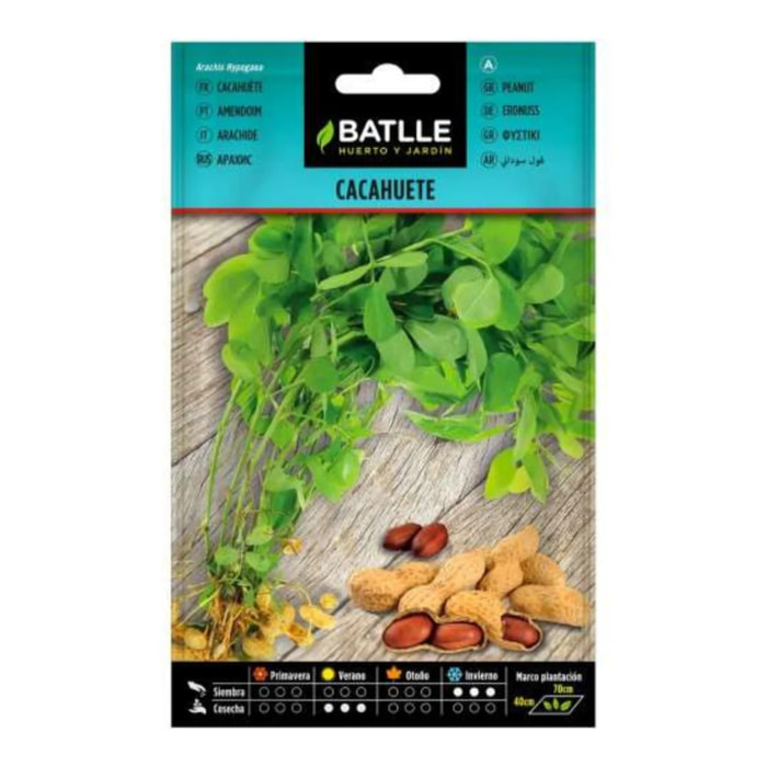 Semillas de Cacahuete Batlle