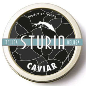 Caviar Beluga - 30g - France - Sturia - Maison Blanc