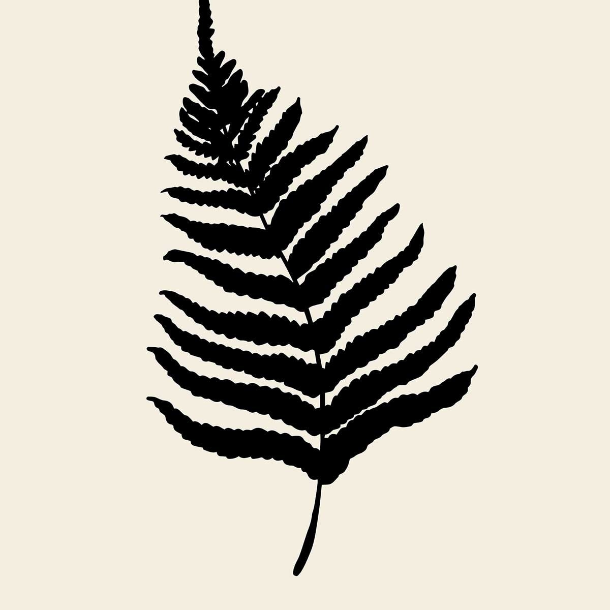 Affiche deco black fougères Affiche + cadre en bois - Chêne