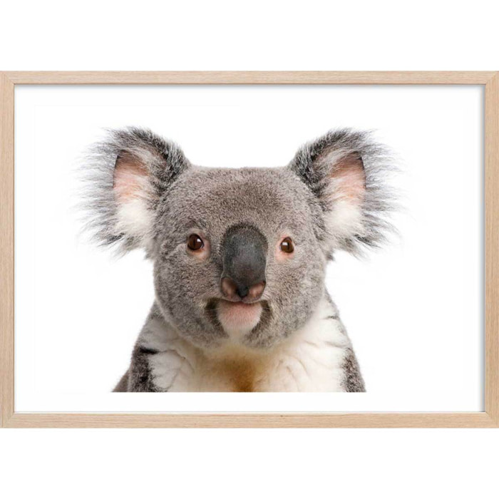 Affiche enfant bébé koala  Affiche + cadre en bois - Chêne