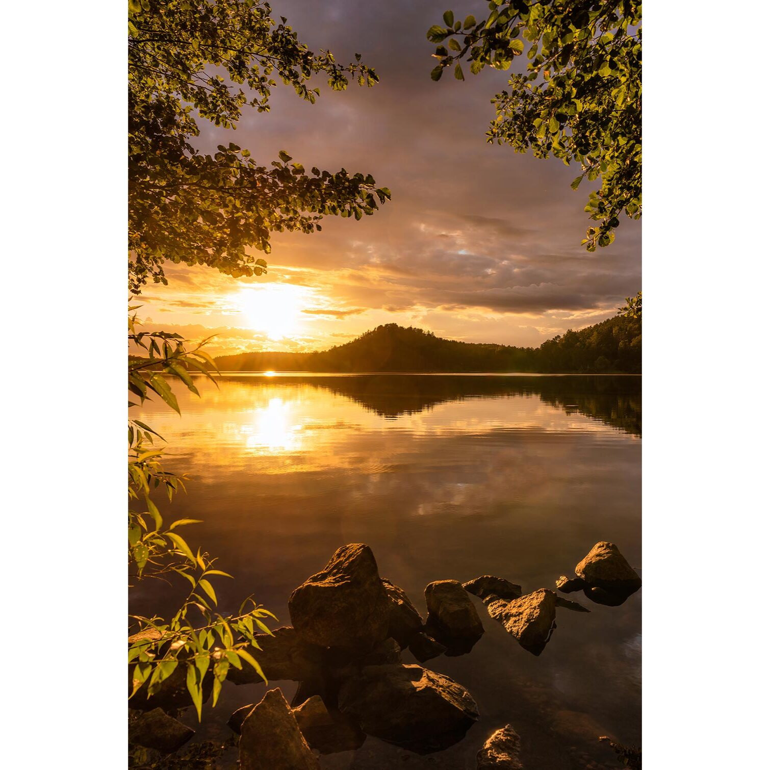 Tableau campagne coin de paradis  Tableau alu Dibond