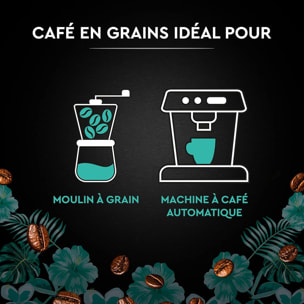 Carte Noire Grains Pérou Bio 500g