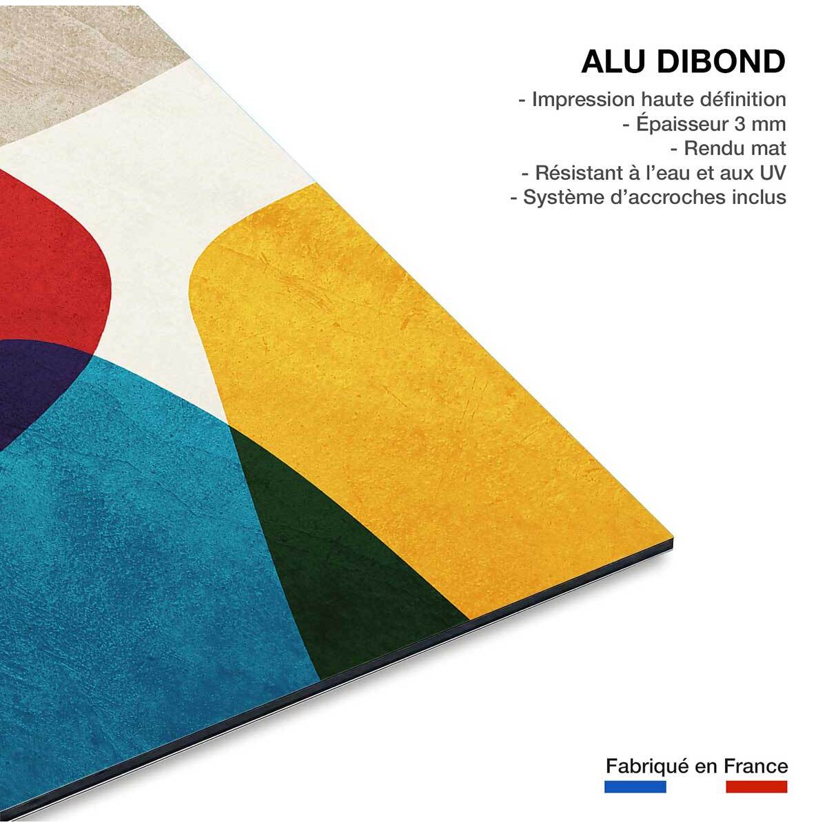 Tableau organique chrome 1  Tableau alu Dibond