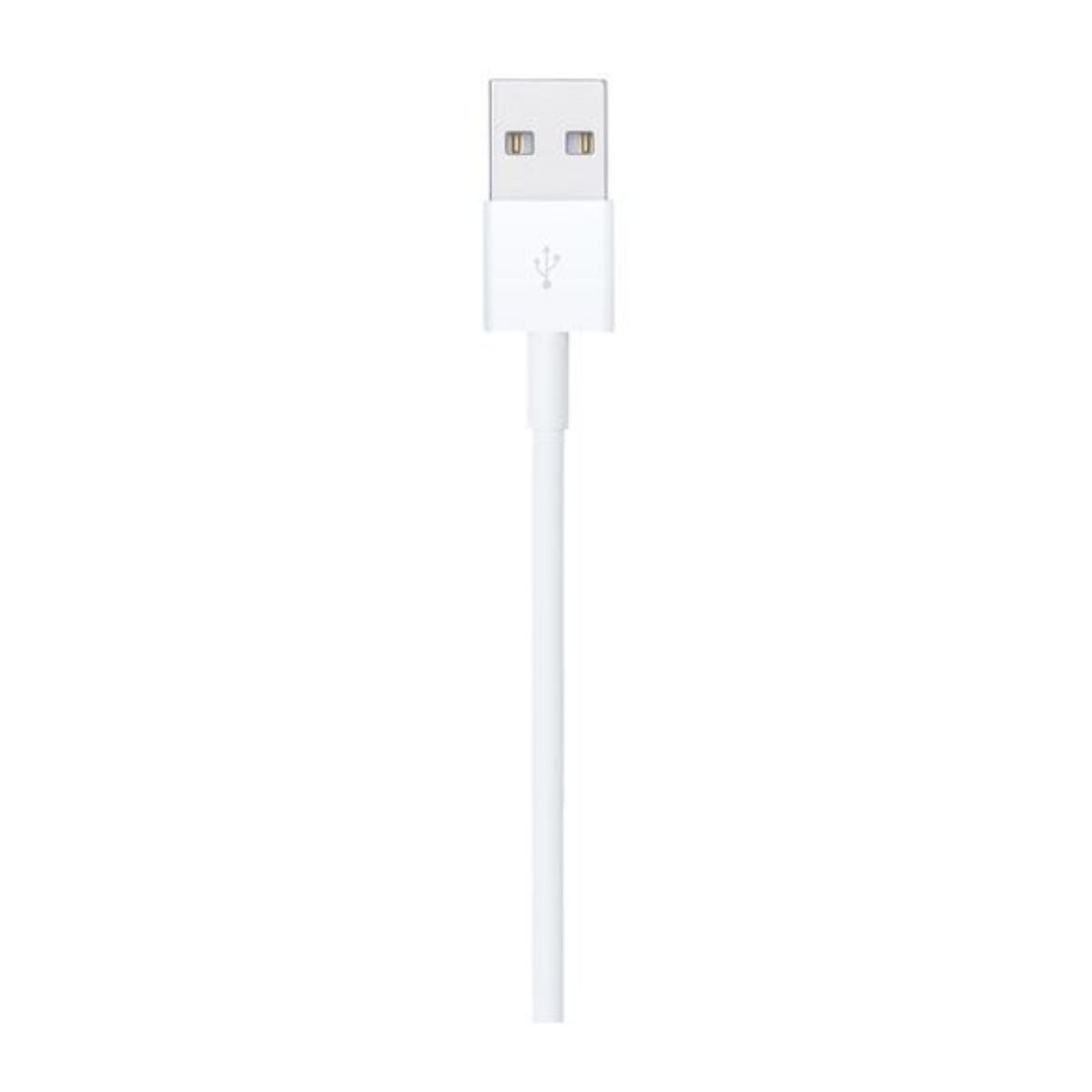 Câble Lightning APPLE Lightning vers USB 1m