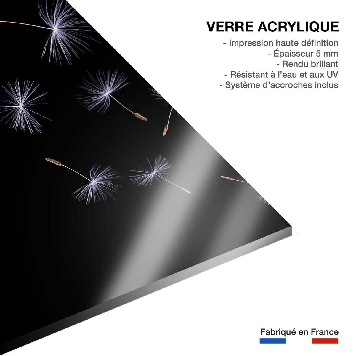 Tableau fleur pissenlit vole  Tableau plexiglas